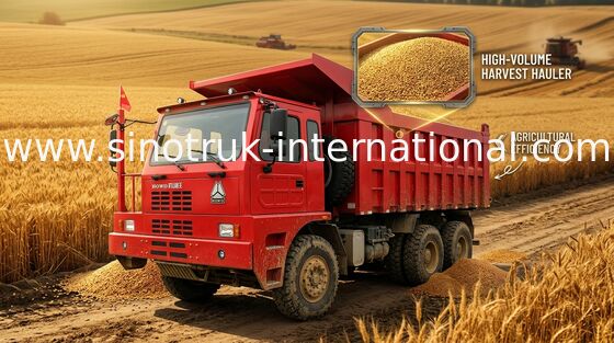 Xe tải D12.42 420HP Tipper, xe tải chở hàng Ten Wheeler 6X4