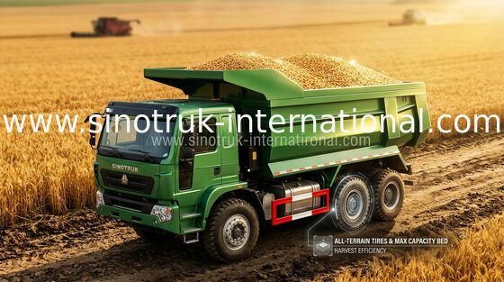 Heavy Duty SINO HOWO Xe tải / 10 Wheeler Dump Truck 371HP Tiêu thụ nhiên liệu thấp