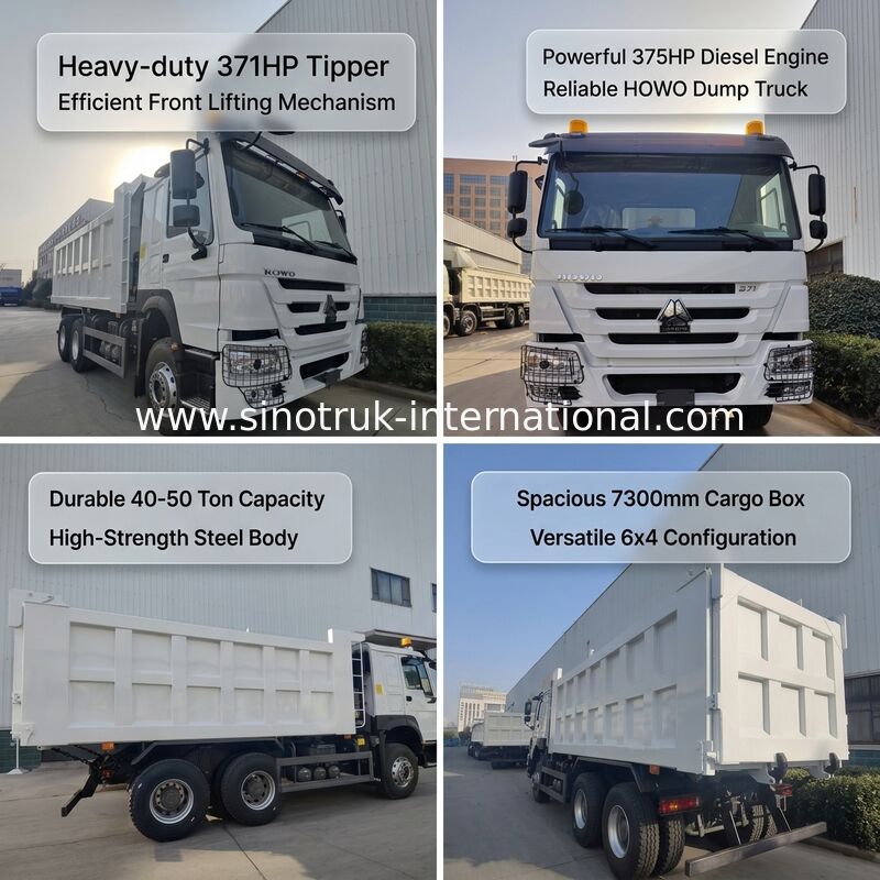 SINOTRUK HOWO 371HP Xe tải đổ rác hạng nặng với 10 bánh và hộp hàng hình chữ nhật